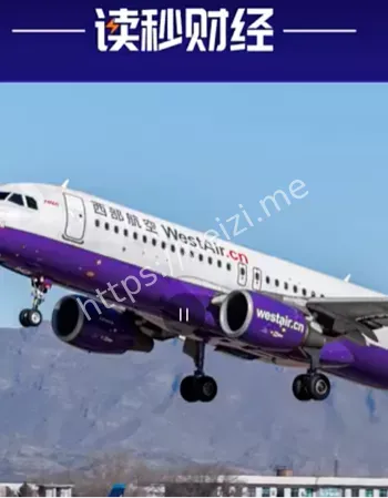 西部航空充电宝冒烟处置